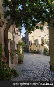 Trevignano Romano, Rome, Lazio, Italy: old village on the Bracciano lake