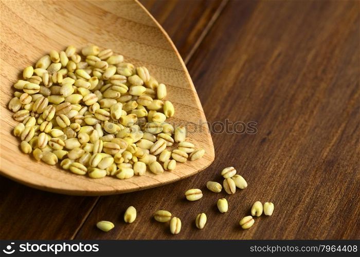 Trigo Mote boiled and husked wheat grain, commonly used in the South American cuisine, photographed on dark wood with natural light (Selective Focus, Focus on the grains at the tip of the plate)