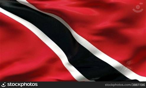 Trinidad&Tobago flag highly detailed