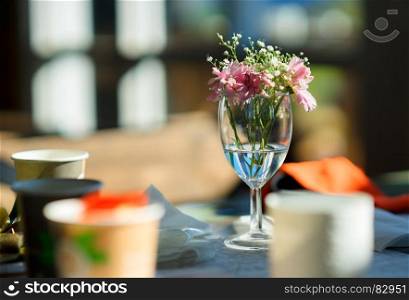 Tromso cafe flowers on the table. Tromso cafe flowers on the table hd