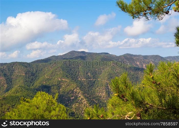 Troodos mountains landscape with the pine branches in the foreground, Cyprus.