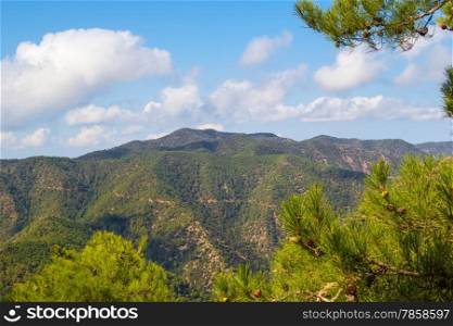 Troodos mountains landscape with the pine branches in the foreground, Cyprus.