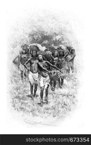 Troop of Girls Carrying Baskets in Angola, Southern Africa, drawing by Bayard based on a sketch by Serpa Pinto, vintage engraved illustration. Le Tour du Monde, Travel Journal, 1881