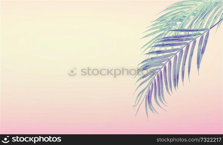 Tropical background with hanging palm leaves at gradient pastel pink and yellow. Summer concept