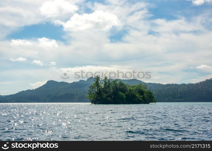 Tropical bay in the Indonesian archipelago. A small island densely overgrown with jungle. Small Tropical Island Near the Shore With Jungle