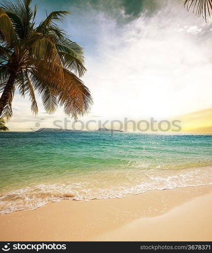 Tropical beach