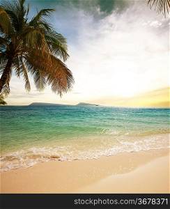 Tropical beach