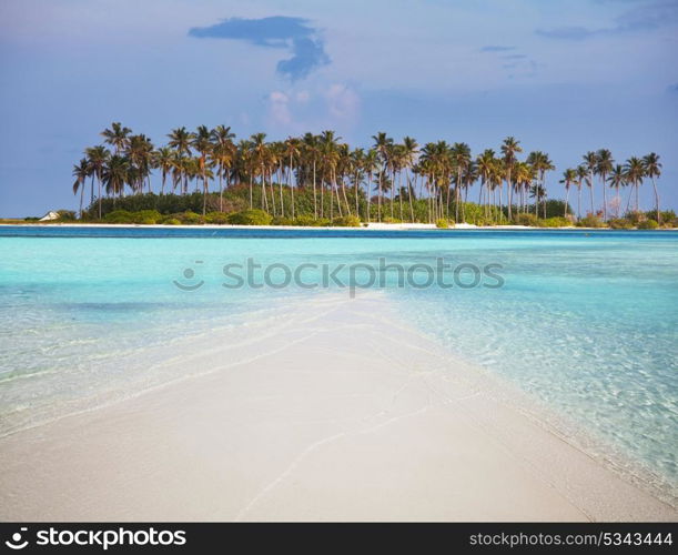 Tropical beach