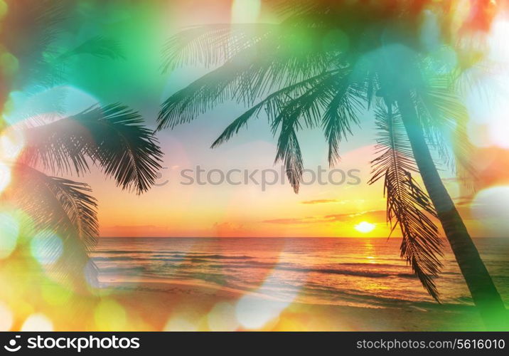 Tropical beach