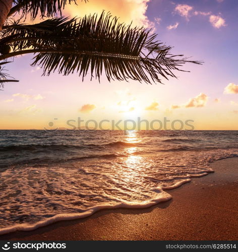 Tropical beach