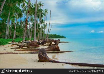 Tropical beach after Tsunami, Banyak Archipelago, Aceh, Indonesia, Southeast Asia