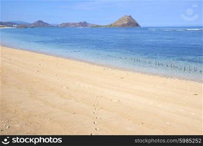 Tropical beach and clean ocean water.