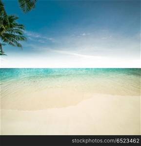 Tropical beach and ocean. Tropical beach and ocean. Day shot background. Tropical beach and ocean