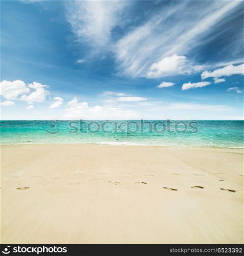 Tropical beach and ocean. Tropical beach and ocean. Day shot. Tropical beach and ocean