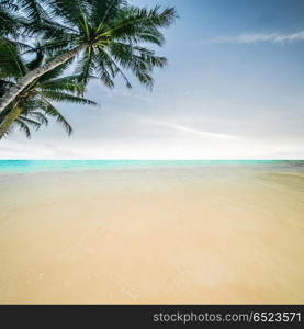 Tropical beach and sea. Tropical beach and sea. Sky and clouds. Tropical beach and sea