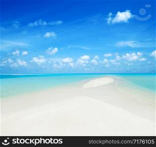 tropical beach and tropical sea