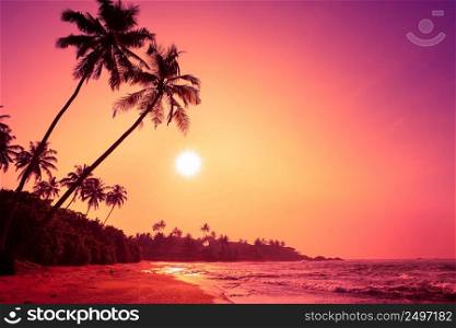 Tropical beach at colorful pink tropic sunset
