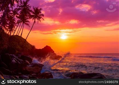 Tropical beach at sunset with palm trees silhouettes and shiny waves splashes