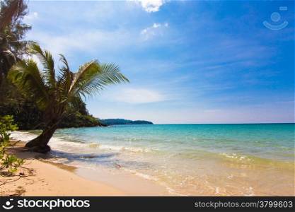 tropical beach. Beach on Ko Kood