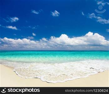 Tropical beach caribbean sea. Sea landscape