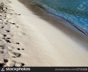 Tropical Beach Detail