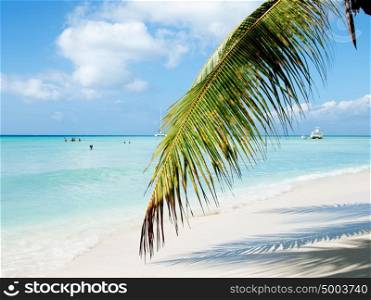 tropical beach in Dominican republic. Caribbean sea.