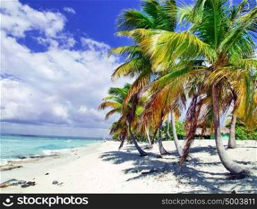 tropical beach in Dominican republic. Caribbean sea. Island Katalina