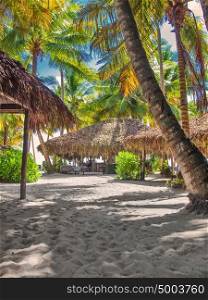 tropical beach in Dominican republic. Caribbean sea. Saona island