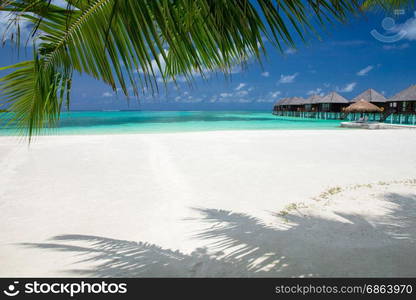 tropical beach in Maldives