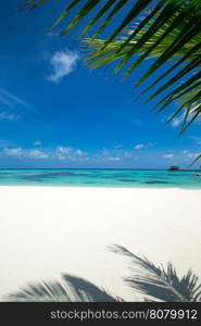 tropical beach in Maldives