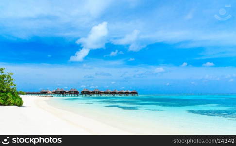 tropical beach in Maldives with few palm trees and blue lagoon