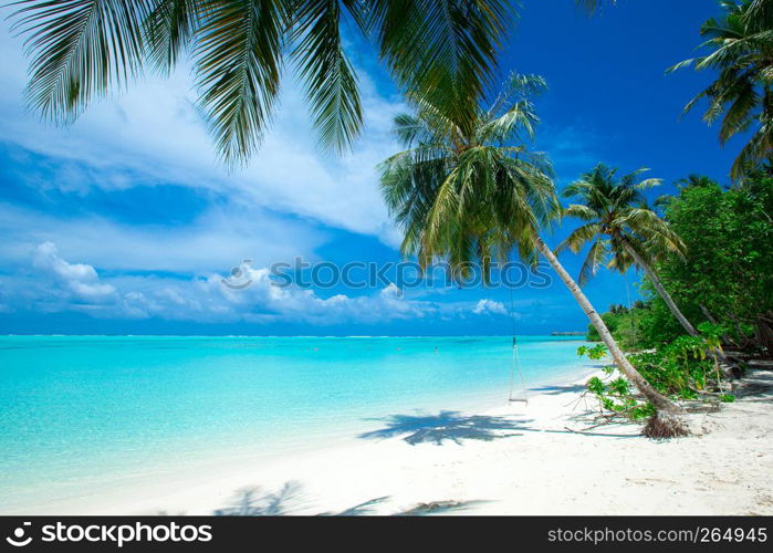 tropical beach in Maldives with few palm trees and blue lagoon