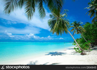 tropical beach in Maldives with few palm trees and blue lagoon