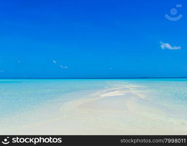 tropical beach in Maldives with few palm trees and blue lagoon