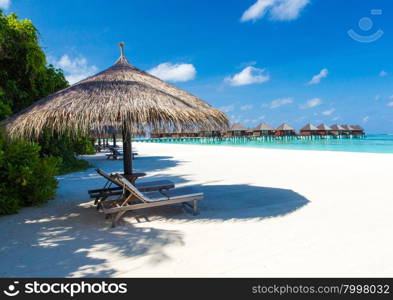 tropical beach in Maldives with few palm trees and blue lagoon