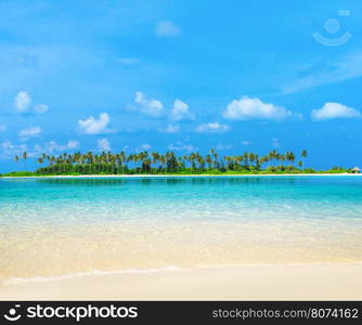 tropical beach in Maldives with few palm trees and blue lagoon