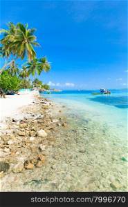 tropical beach in Maldives with few palm trees and blue lagoon&#xA;&#xA;