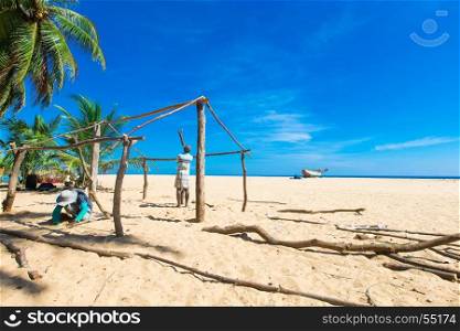 tropical beach in palm trees and blue lagoon