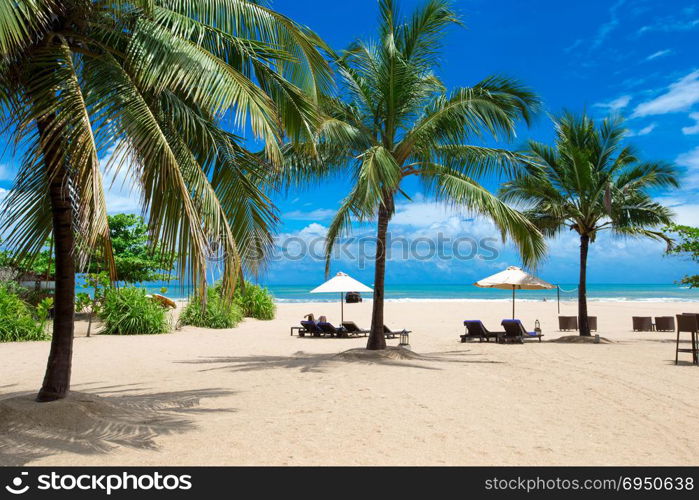 tropical beach in Sri Lanka