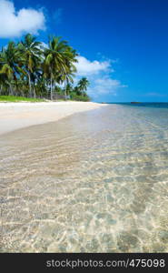 tropical beach in Sri Lanka . Summer holiday and vacation concept for tourism.