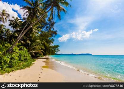 tropical beach in Thailand.