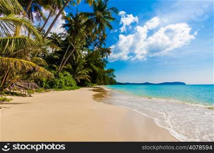 tropical beach in Thailand.