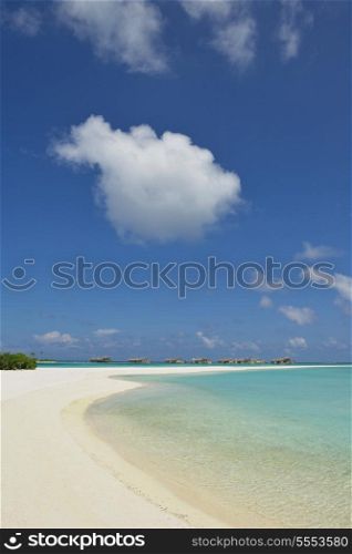 tropical beach nature landscape scene with white sand at summer
