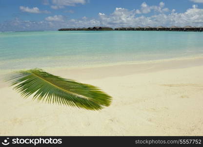 tropical beach nature landscape scene with white sand at summer