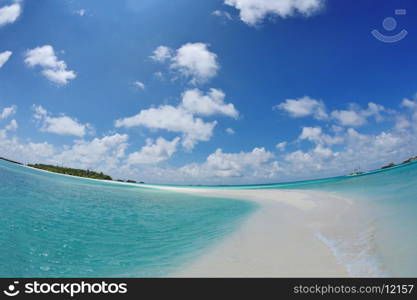 tropical beach nature landscape with white sand at summer