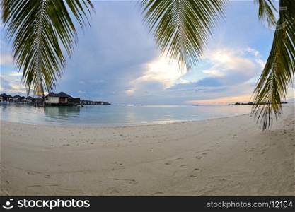 tropical beach nature landscape with white sand at summer