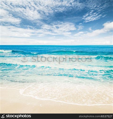 Tropical beach ocean. Tropical beach ocean. Summer hot coastline landscape. Tropical beach ocean