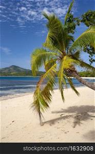 Tropical beach on one of the islands of the Yasawa Islands in Fiji, South Pacific.