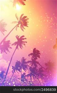 Tropical beach palm trees at sunset fairytale stylized with gold glitter and shiny light leaks