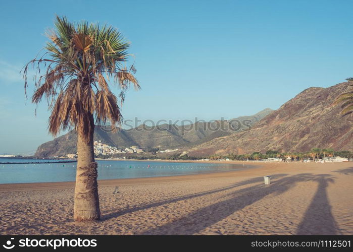 Tropical beach. Playa De Las Teresitas, Tenerife, Canary Islands.